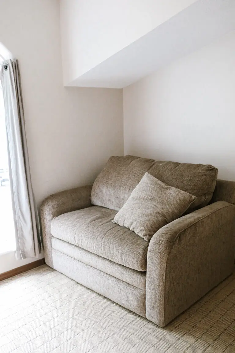 Second bedroom has a sleeper sofa with full size mattress